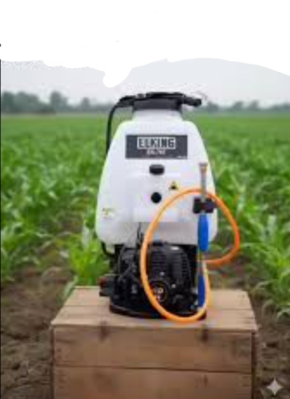 pulvérisateur motorisé de la marque B max, modèle EM-999 – Image 3