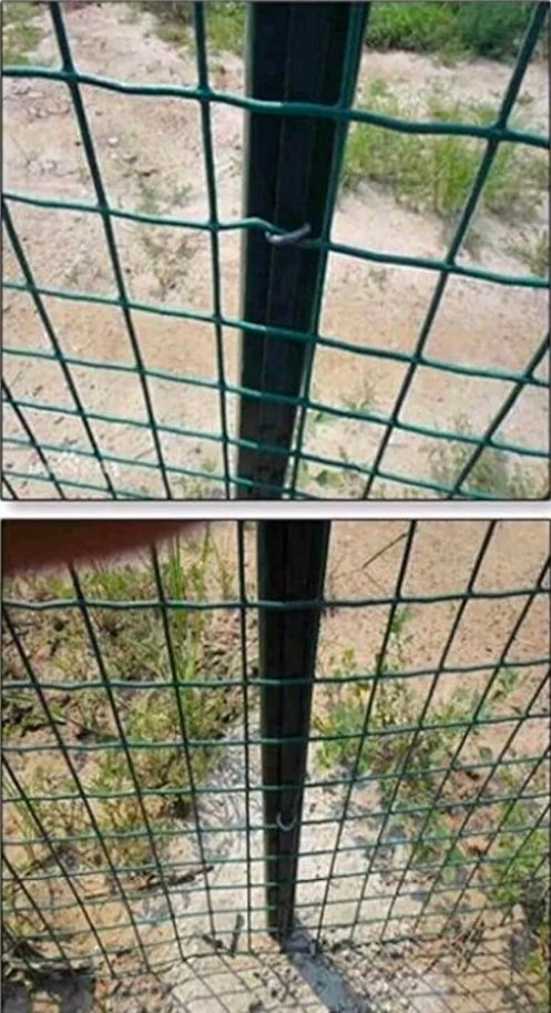Grillage de Clôture De Jardin Verte, Clôture en Grillage De Poulet Filet D'élevage De Volaille Extérieur Coupe Barrière De Route Réutilisable Clôture en Treillis Métallique (Color : 2.5mm, Size : 1.5M) 25 mètre – Image 3